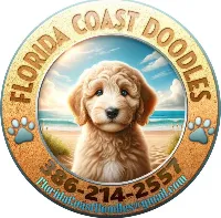 Florida Coast Doodles