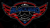Blackbird Mobile Detailing