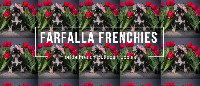 Farfalla Frenchies
