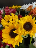 Petals Florist - Palm Harbor