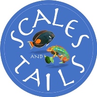 Scales and Tails