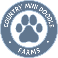 Country Mini Doodle Farms
