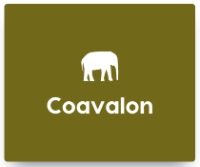 Coavalon