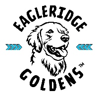 Eagleridge Goldens LLC