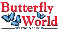 Butterfly World