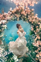 Water Bear Photography