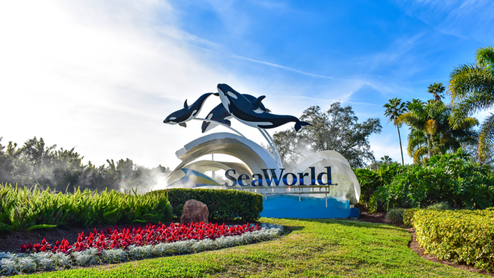 Surfs Up on SeaWorld's New Coaster
