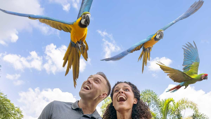 ZooTampa and Tampa General Hospital Team Up