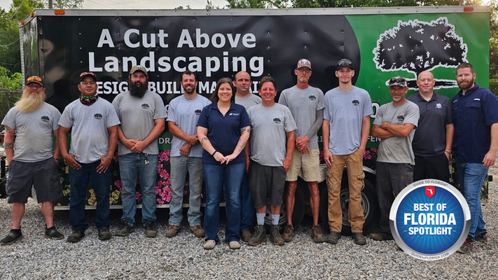 They Say the Grass is Always Greener on the Other Side, but with 'A Cut Above Landscaping,' You'll Find Your Neighbors Peeking Over Your Fence in Envy.