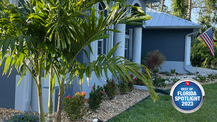 Rock Bottom Landscape: From Grassroots to Glory