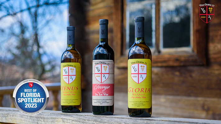 From Grape to Glass: Discover Vino Ghvino 21's Artisanal Journey