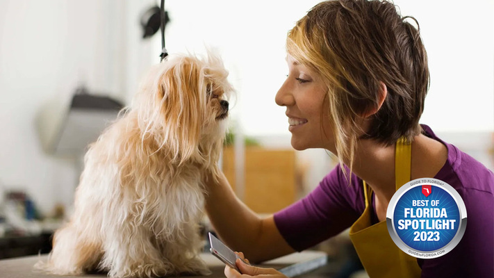 Where Every Pet’s a Star: Dive into the Charm of Pet Starr Salon