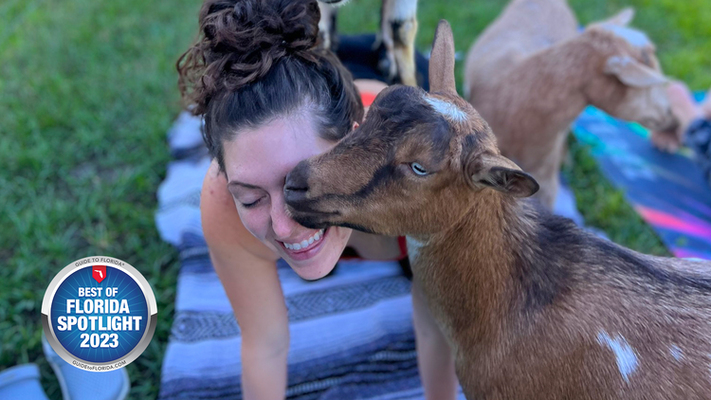 G.O.A.T. Moments at Dim Jandy Ranch