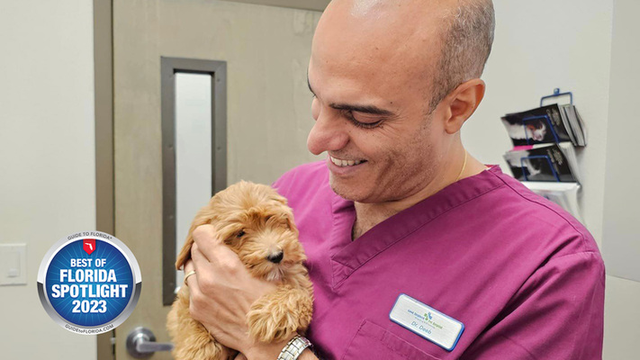 Where Love and Care Walk Together: Good Shepherd Pet Hospital