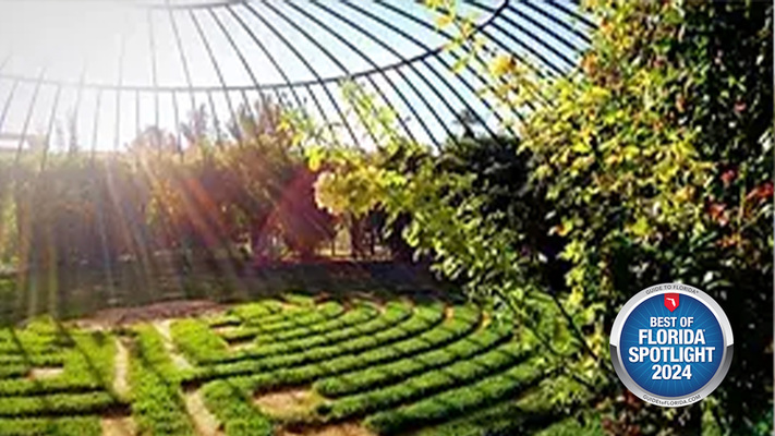 Your Yard, Reimagined: The Citrus Landscape Solutions Touch