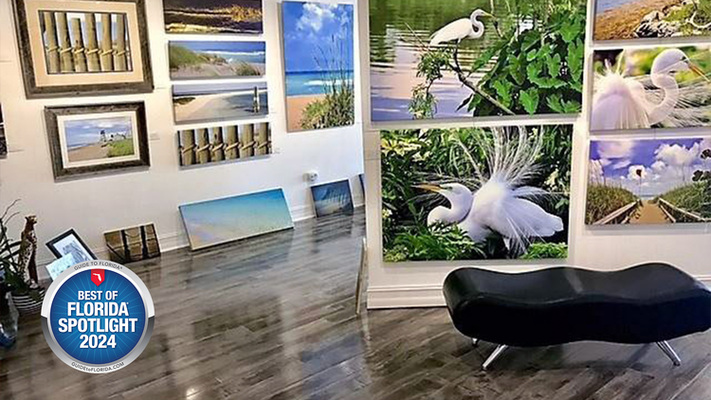 Gallery 36: Where Every Image Tells a Story