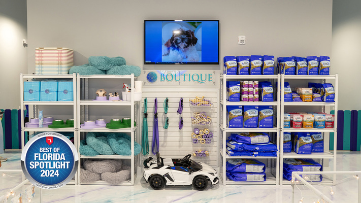 Find Your Next Puppy at Puppy Mansion