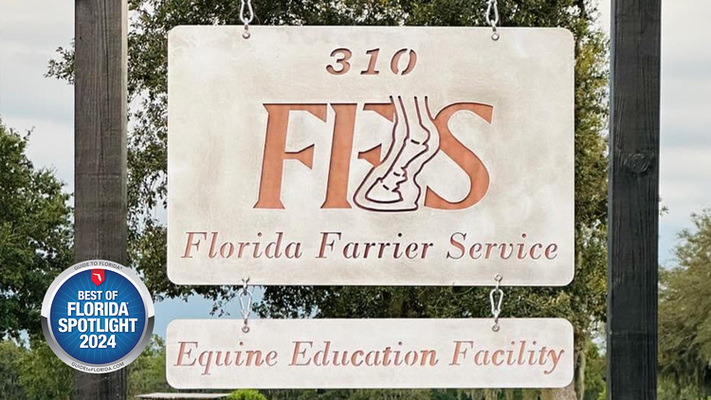 Florida Farrier Service: Shaping Stronger Hooves and Stronger Bonds