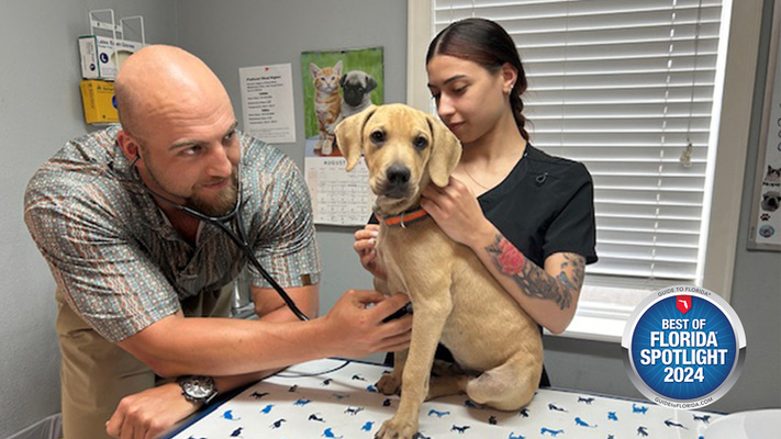 TLC PetSnip: High-Quality Care, Low-Cost Solutions for Your Furry Family.