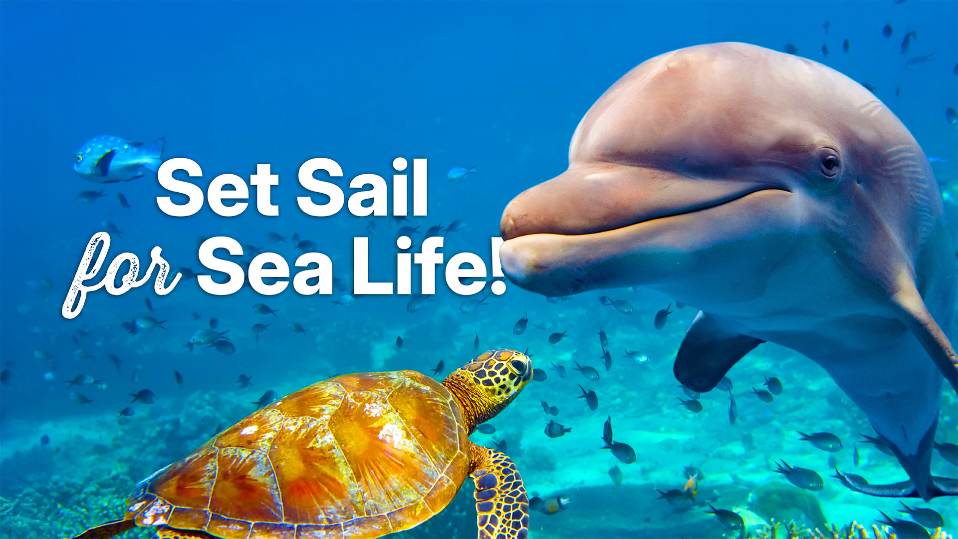 Wildlife’s Waiting—Let’s Cruise!