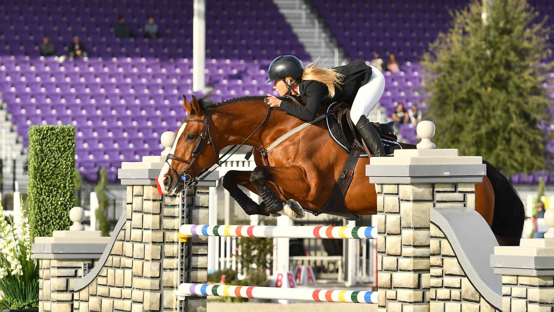 Ocala’s Horse Industry Races into Summer Season