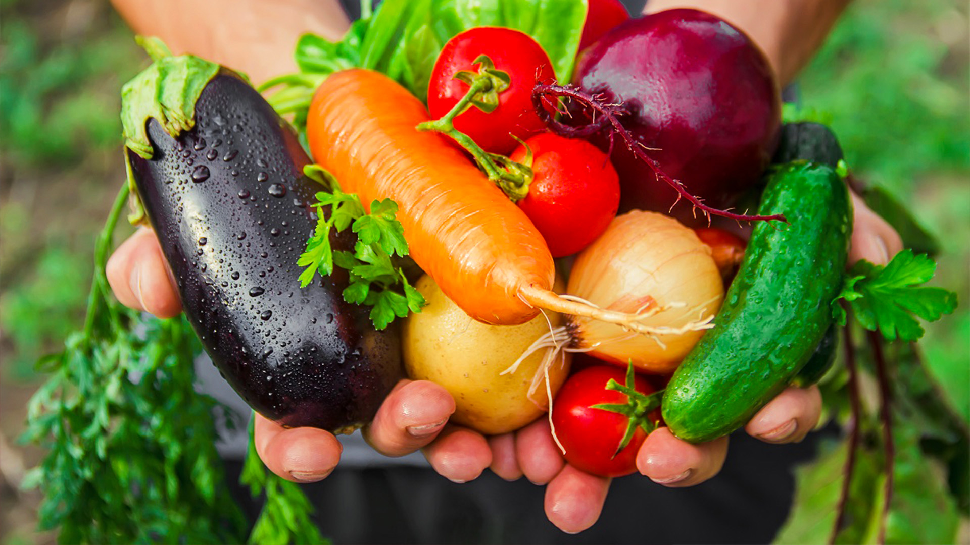 Grow Like a Pro: Summer Gardening Tips 